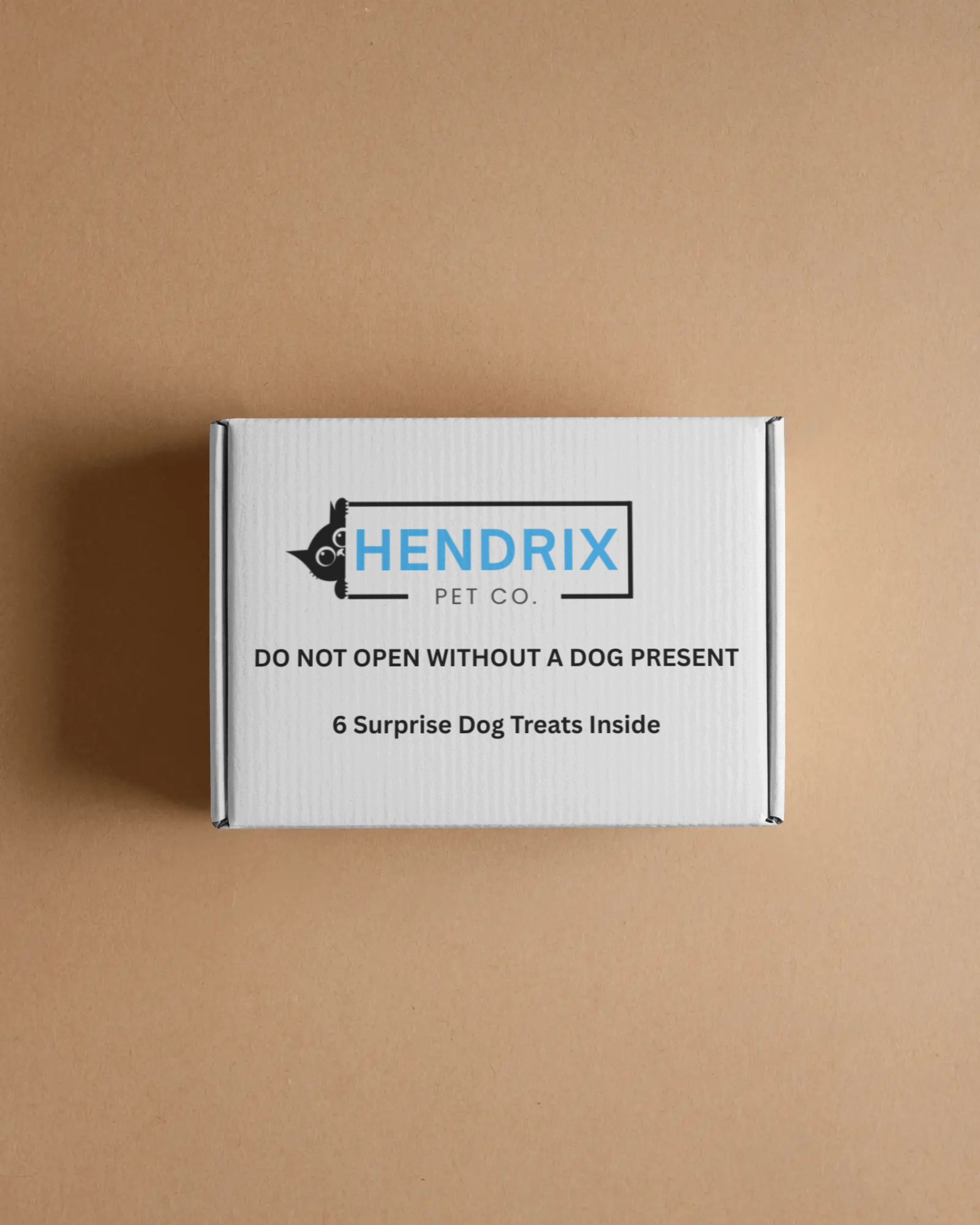 Surprise Treat Box